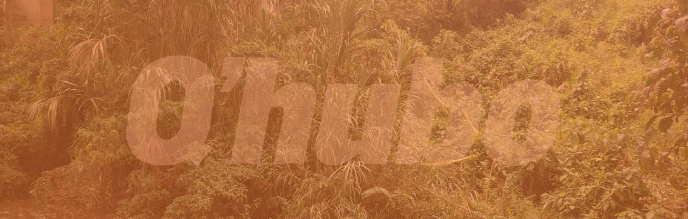 Image Actualidad - 2026-07-27T120356.277