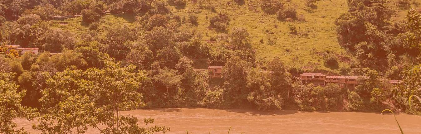 Imagen Banners web (56)