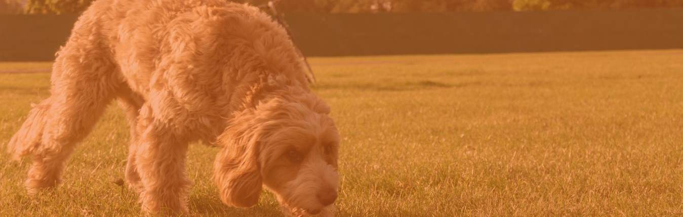 Imagen Actualidad - 2026-03-17T112845.532