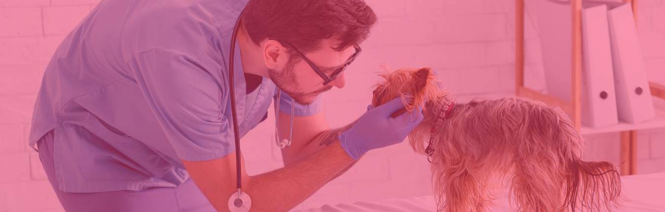 Imagen veterinario (1)