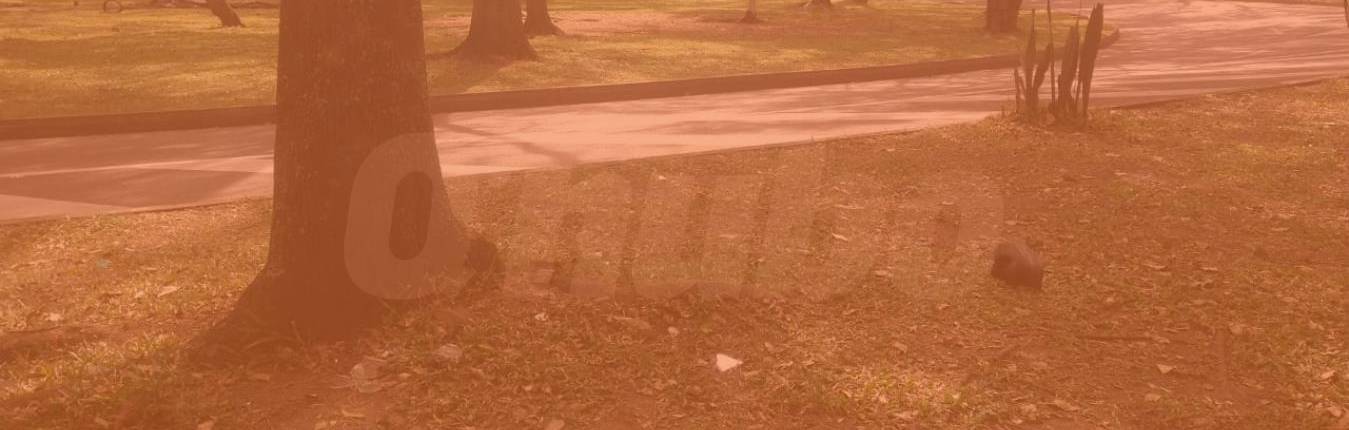 Imagen Actualidad - 2026-06-17T135357.341