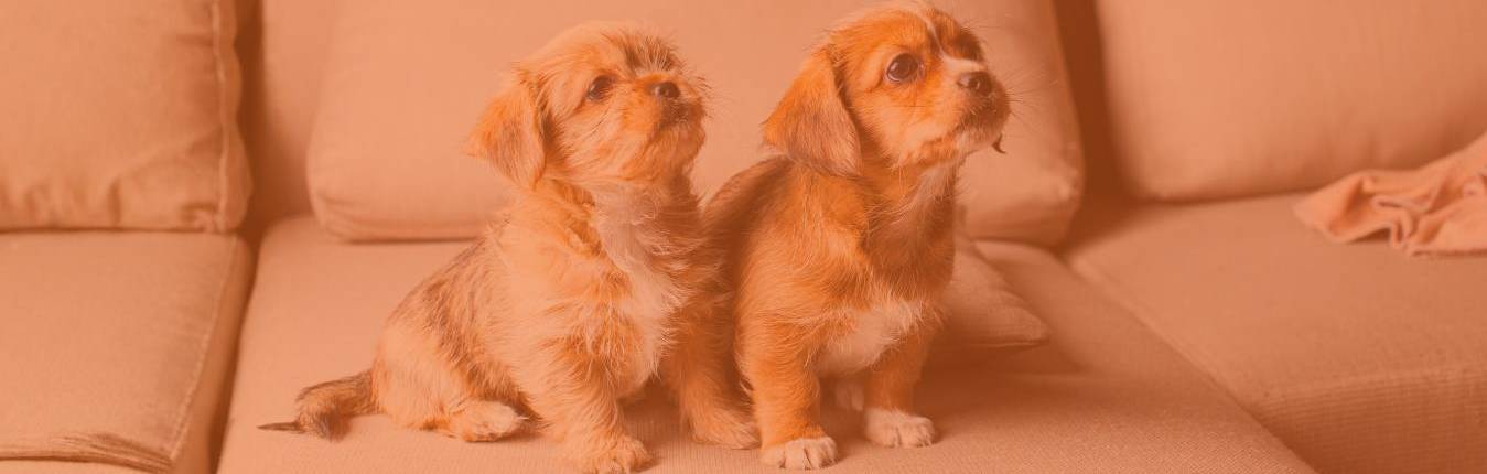 Imagen Banners web (11)