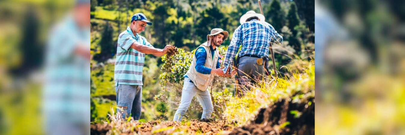 Los nueve alcaldes de la subregión del Altiplano del Oriente, comunidades campesinas y empresariales de la zona, y el Sena se unen para impulsar la región. /FOTO: CORTESÍA CORNARE.