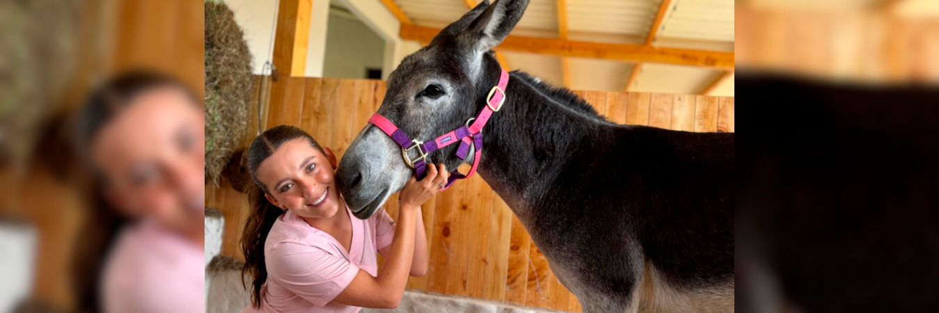 /FOTO: ALCALDÍA DE MEDELLÍN