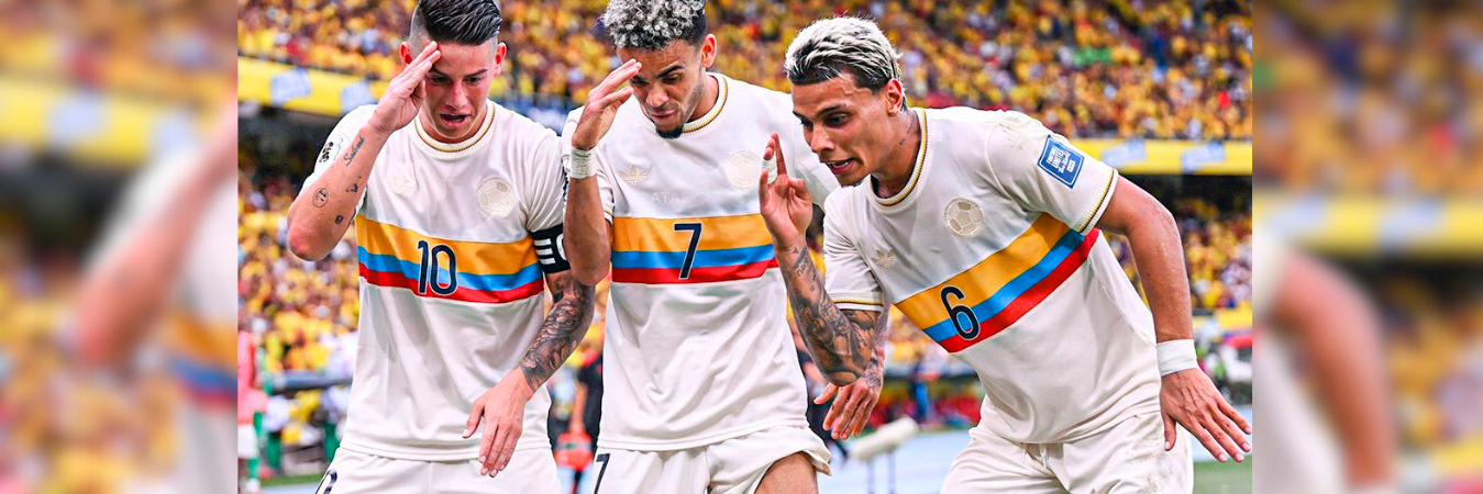 La Selección Colombia fue subcampeona de la Copa América 2024. /FOTO: FCF