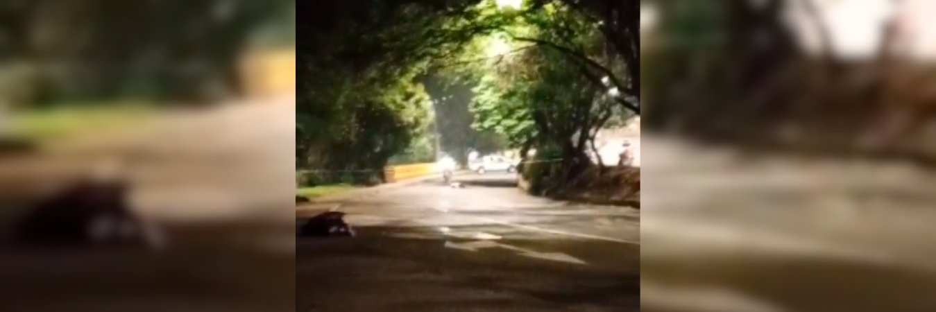 La víctima es un joven de 29 años. /FOTO: CAPTURA DE VIDEO 