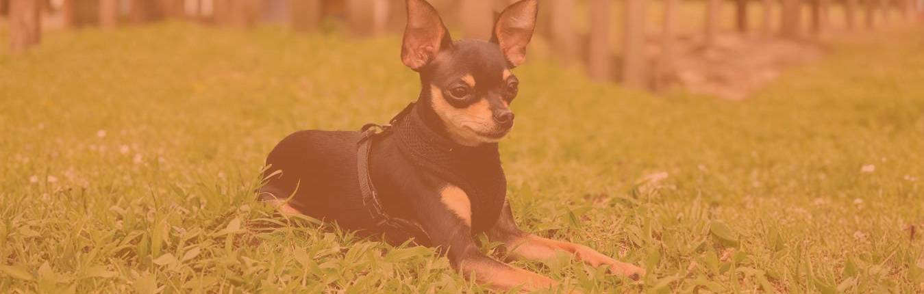 Imagen Banners web (18)