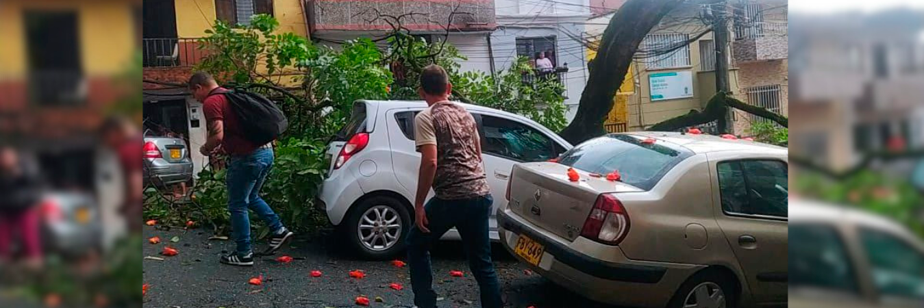 /FOTO: CORTESÍA DENUNCIAS ANTIOQUIA 
