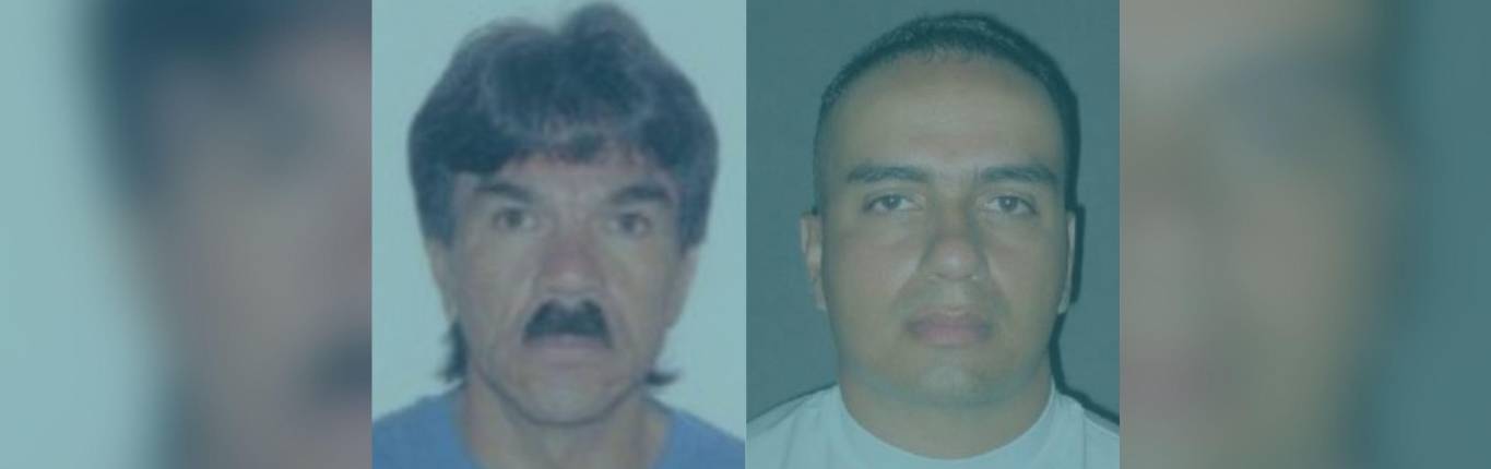 Imagen Cuerpos en Medicina Legal 1
