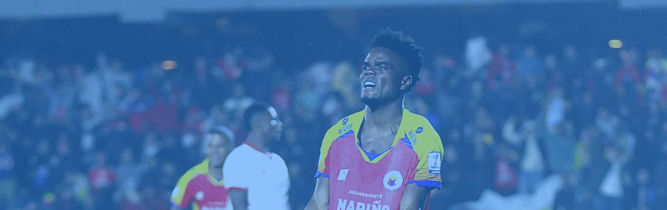 Imagen Andresy Estupiñán 1