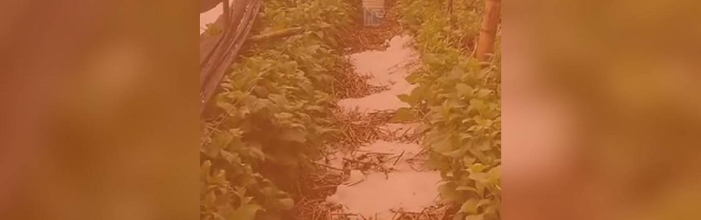 Imagen Actualidad - 2026-04-27T165252.899