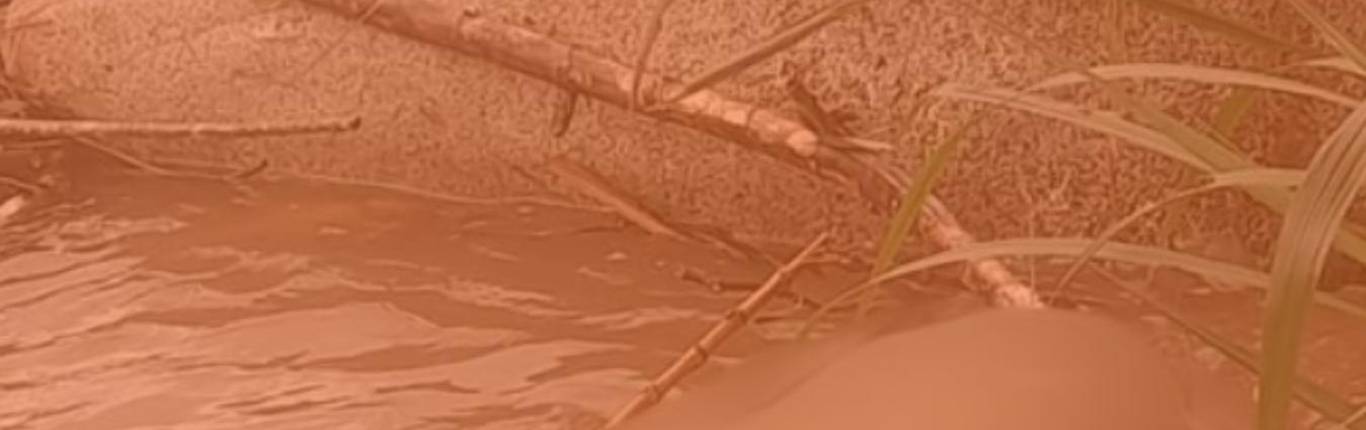 Imagen Actualidad - 2026-02-14T134005.876