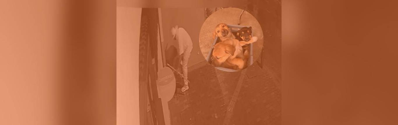 Imagen Actualidad - 2026-03-29T123858.310