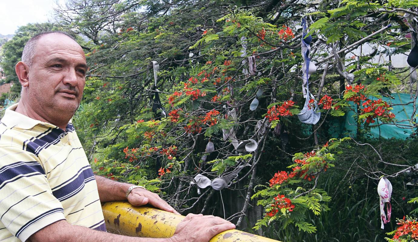 43. Un árbol de brasieres: en el segundo puente de La Toma, en el barrio Caicedo, Q’HUBO encontró este misterioso árbol adornado con varios brasieres. / FOTO: RÓBINSON SÁENZ.