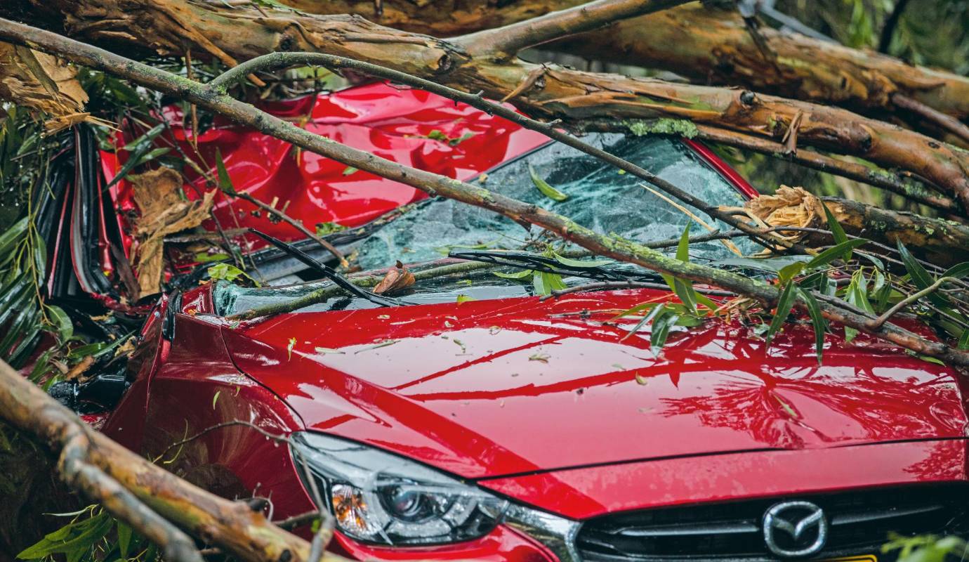 77. El poder del agua: inundaciones, postes y árboles caídos fue lo que dejó el fuerte aguacero que hubo en Medellín el 2 de octubre. / FOTO: CAMILO SUÁREZ.