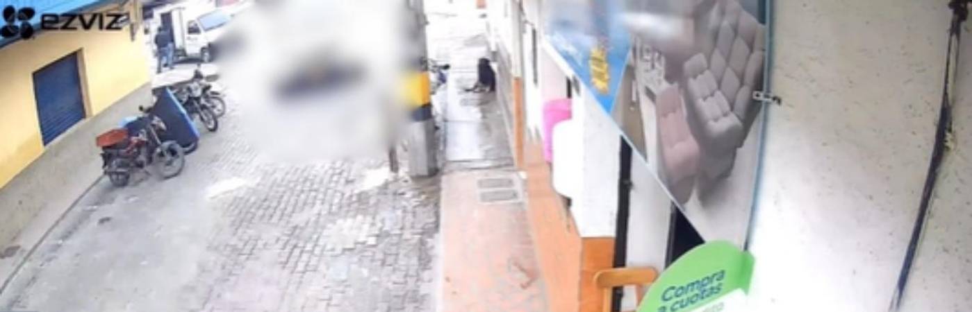 Este fue el momento exacto en el que la camioneta atropella al perro en el municipio de La Unión. FOTO: FACEBOOK SAFARI TELEVISIÓN
