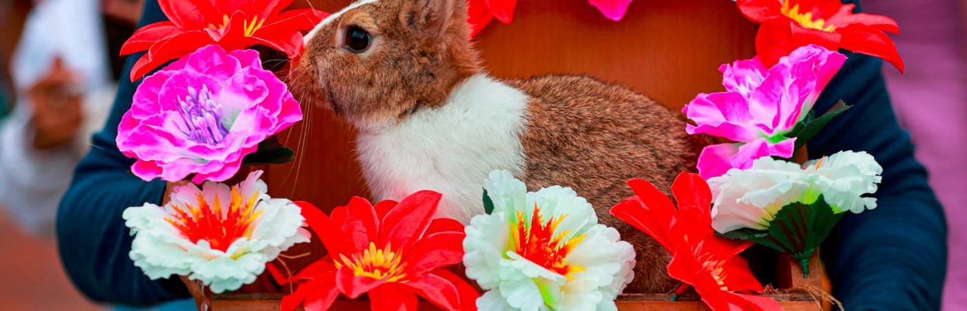 /FOTO: MANUEL SALDARRIAGA