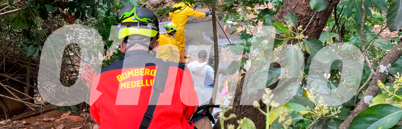 El olor del cuerpo en descomposición atrajo gallinazos /FOTO: ANDRÉS FELIPE OSORIO GARCÍA