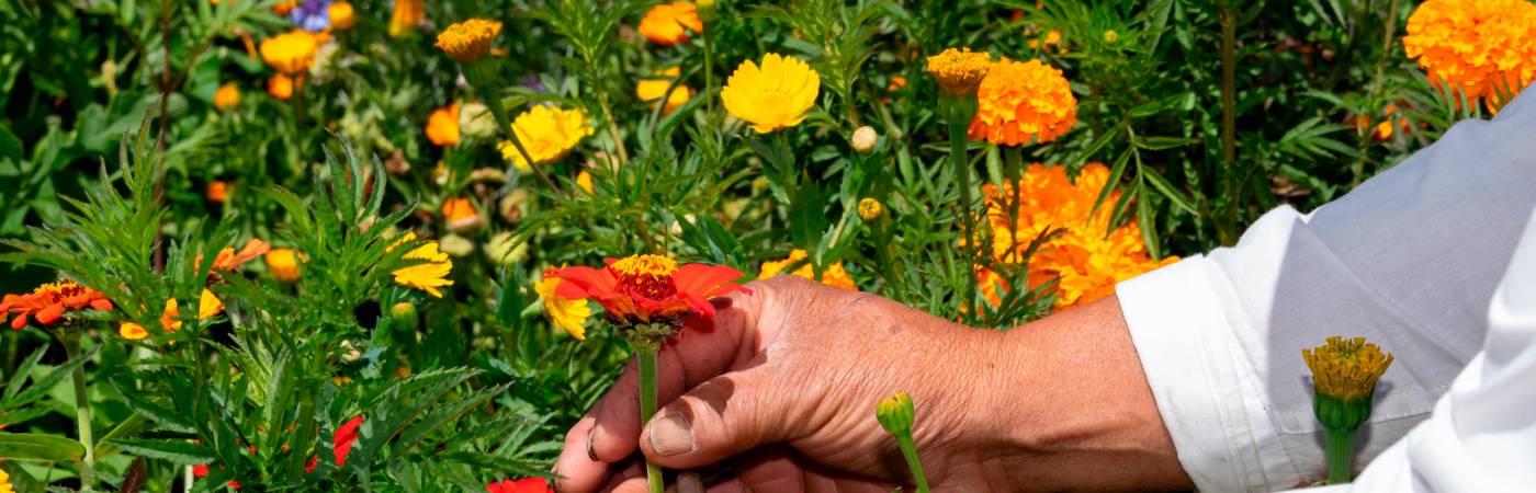 Corregimiento de Santa Elena. / FOTO: ARCHIVO