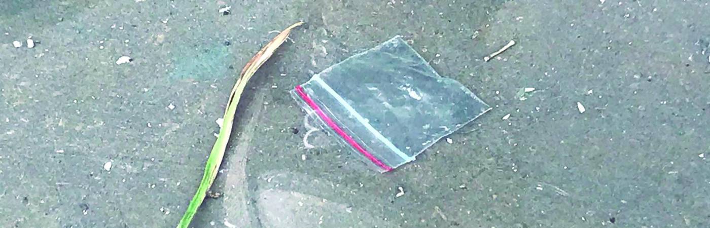 FOTO: LAURA ROSA JIMÉNEZ