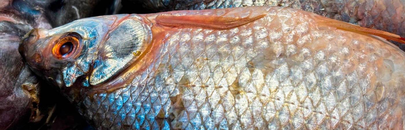 También se debe verificar que el empaque no esté adulterado. / FOTO: CORTESÍA