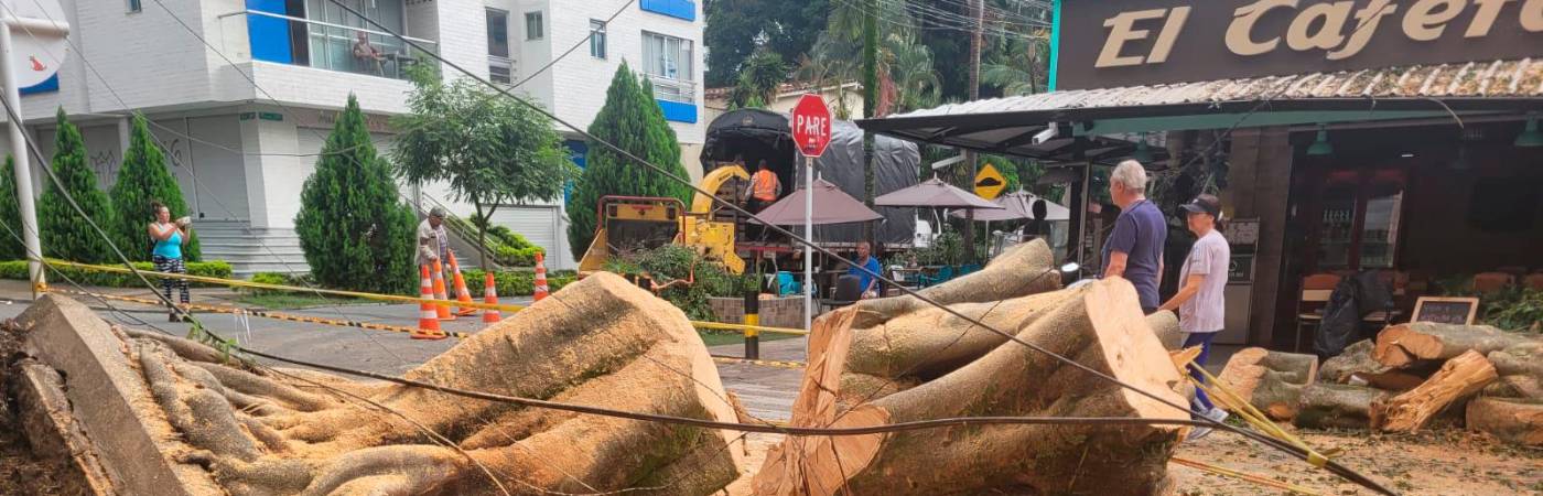 FOTOS: CORTESÍA DONALDO ZULUAGA