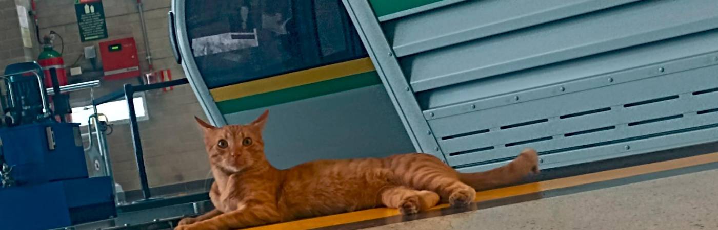 Las personas van a la estación para conocer al empleado más famoso de la zona. /FOTO: METRO DE MEDELLÍN