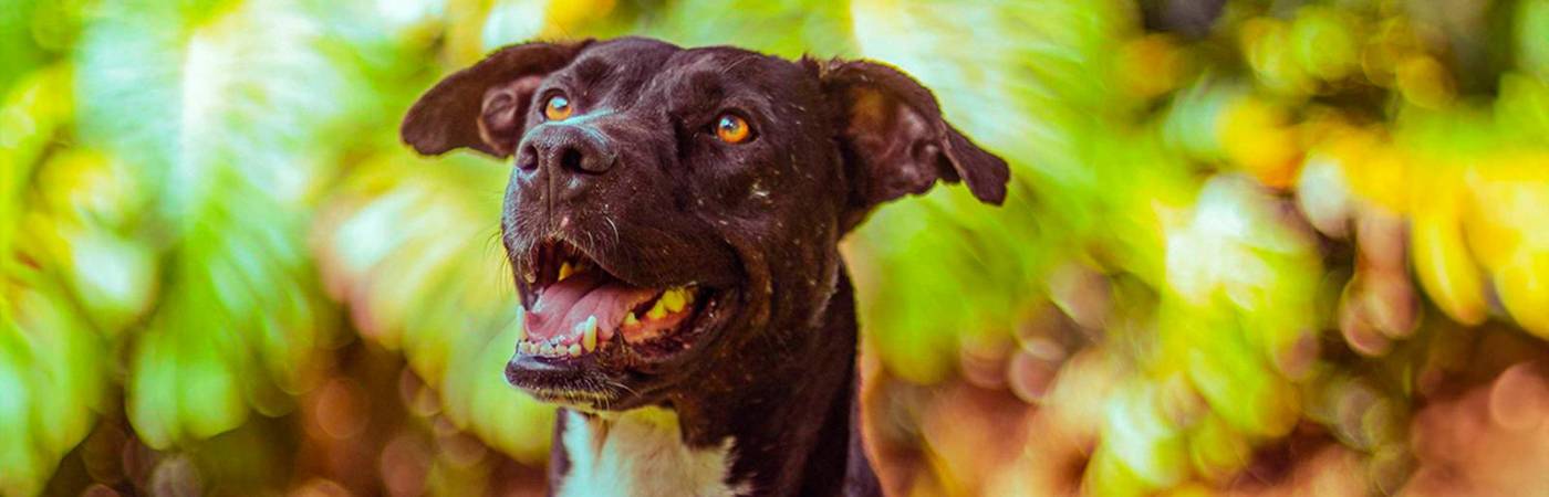 /FOTO: CORTESÍA ALCALDÍA DE MEDELLÍN 