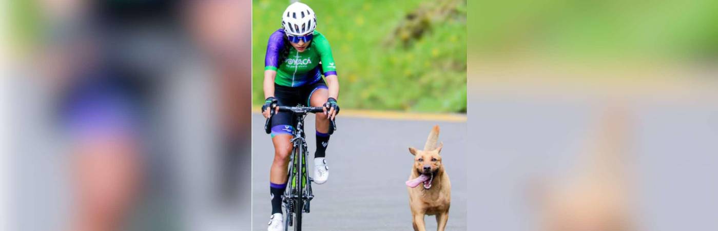 /FOTO: FEDERACIÓN COLOMBIANA DE CICLISMO
