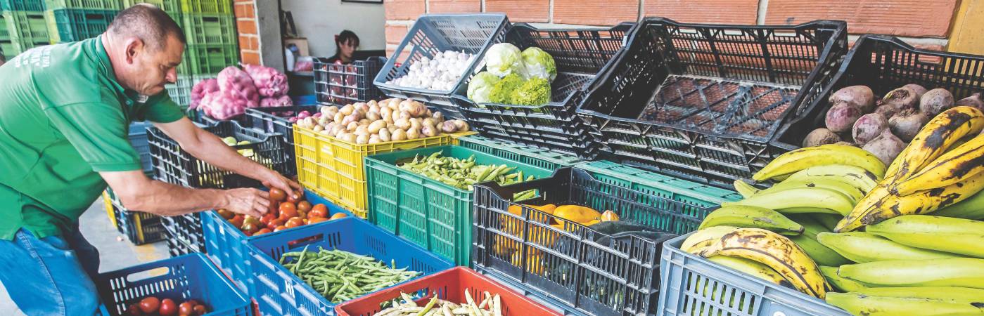 Si bien la mayoría de los alimentos continúan llegando con regularidad, hay alerta porque el calor va a continuar. FOTO: ARCHIVO - JAIME PÉREZ MUNÉVAR