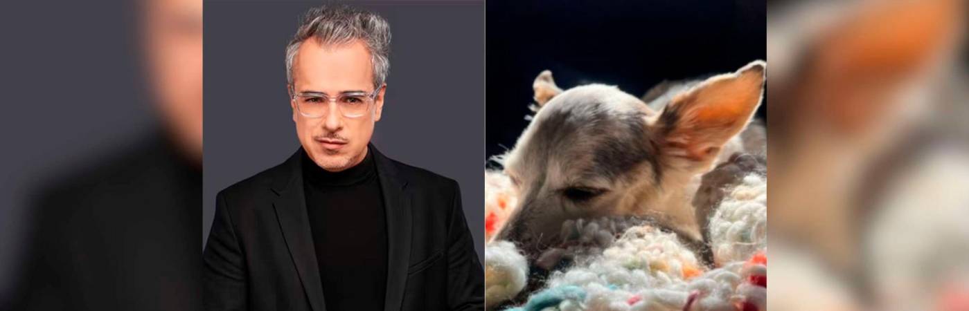 Jorge Enrique Abello y su mascota Pulga Rosa. /FOTOS: RCN TELEVISIÓN E INSTAGRAM @jeabello