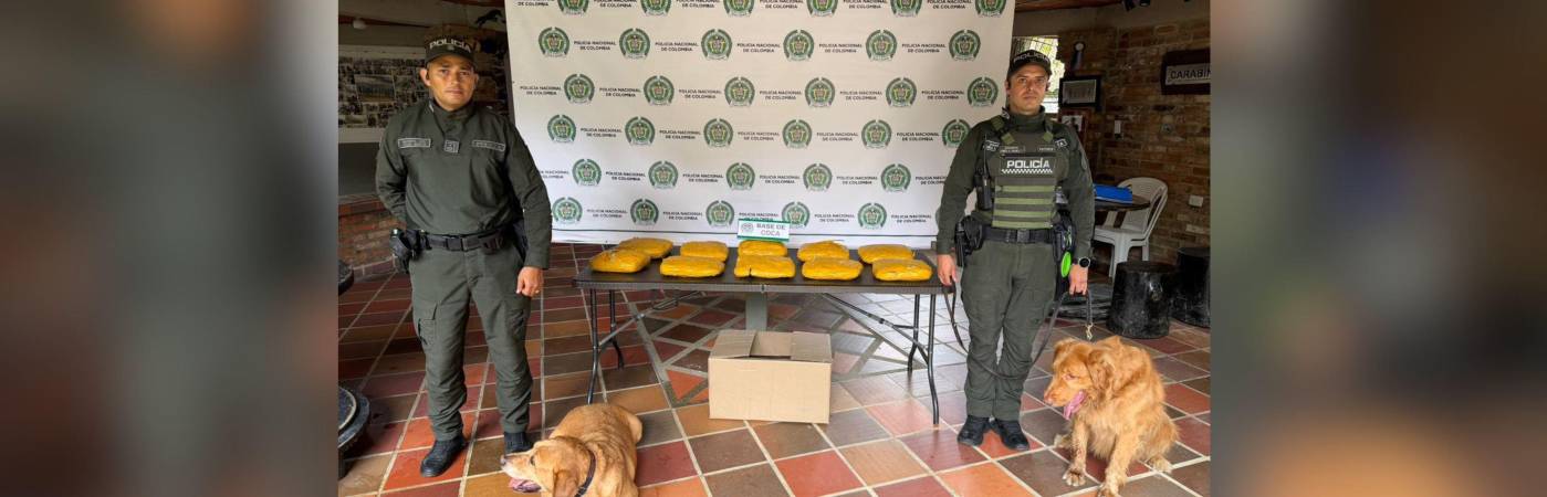 Los animales, especialistas en detección de sustancias ilícitas, ubicaron las cajas en que enviaron la droga desde Pasto. FOTO: POLICÍA METROPOLITANA