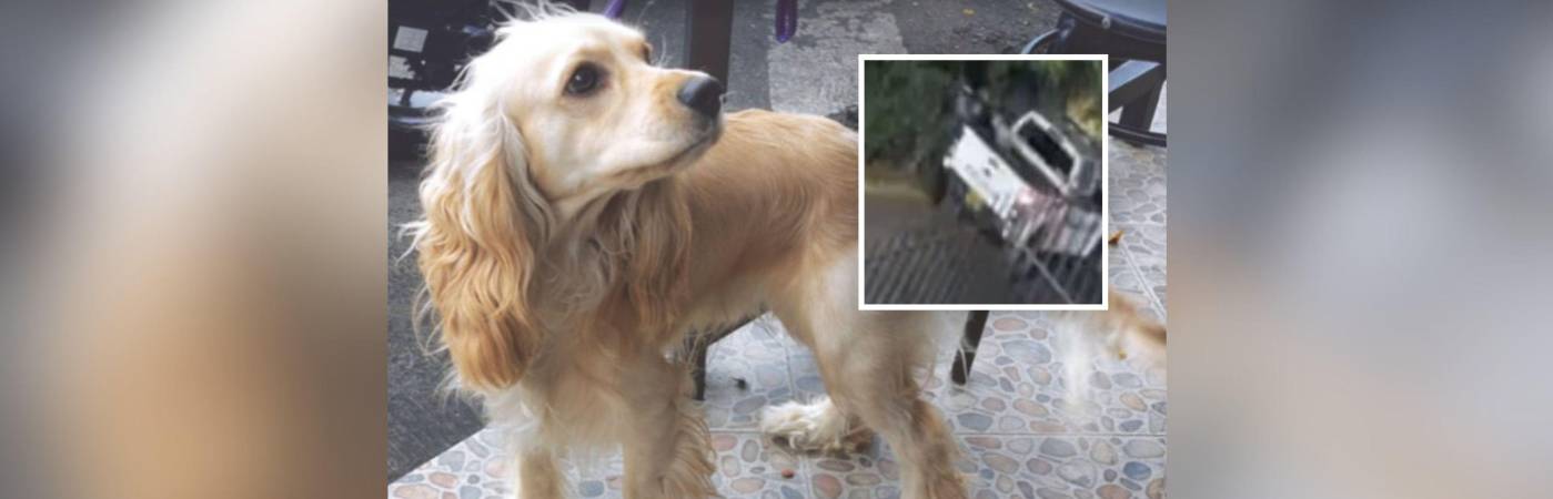 Él era Dante. En el recuadro se ve el momento en el que, presuntamente, un policía lo abandonó momentos después de ser atropellado. FOTOS: CORTESÍA Y CAPTURA DE VIDEO