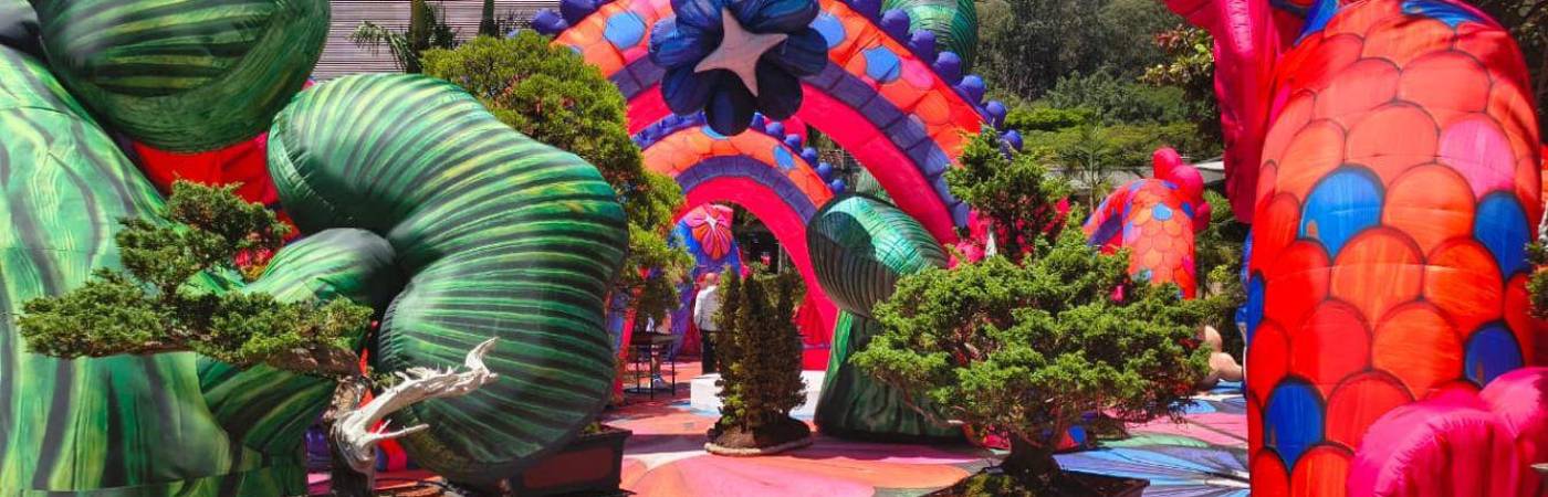 Una serpiente gigante llamada ‘Elena’ acompaña el recorrido de la exposición. FOTO: CENTRO COMERCIAL SANDIEGO