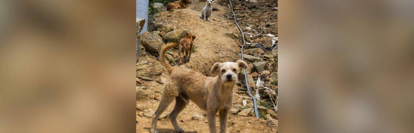 Tomar precauciones es clave. FOTO: JULIO CÉSAR HERRERA