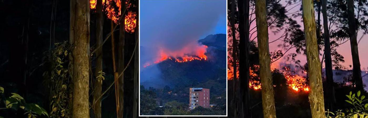 Las llamas consumieron 10 hectáreas de bosque. FOTO: ENFOQUE CINCO