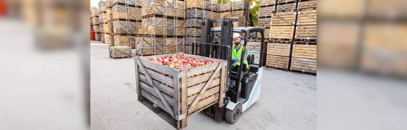 VPC busca personal para diferentes cargos. Si tiene el perfil para alguno de ellos, postúlese. / FOTO: CANVA