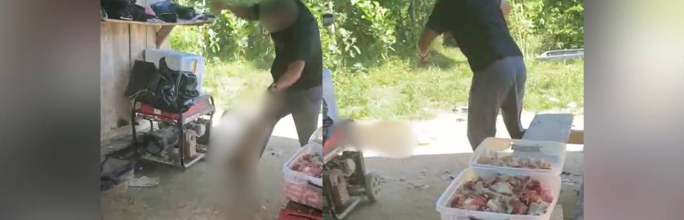 ¡Descarado! Buscan a hombre que agredió brutalmente a un perro