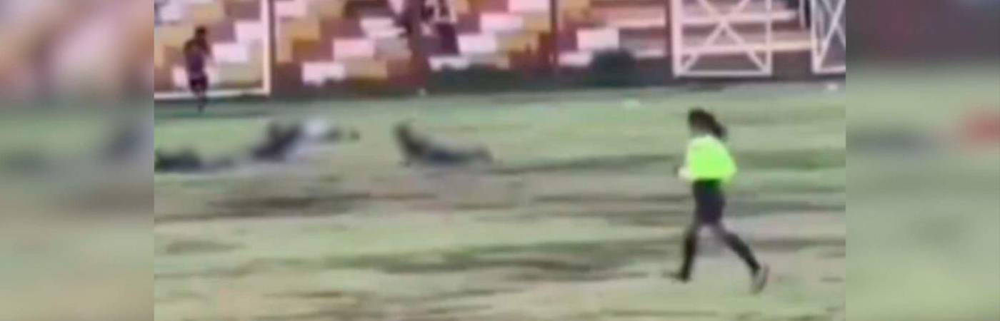 Los jugadores cayeron al suelo luego del impacto. /FOTO: CAPTURA DE PANTALLA