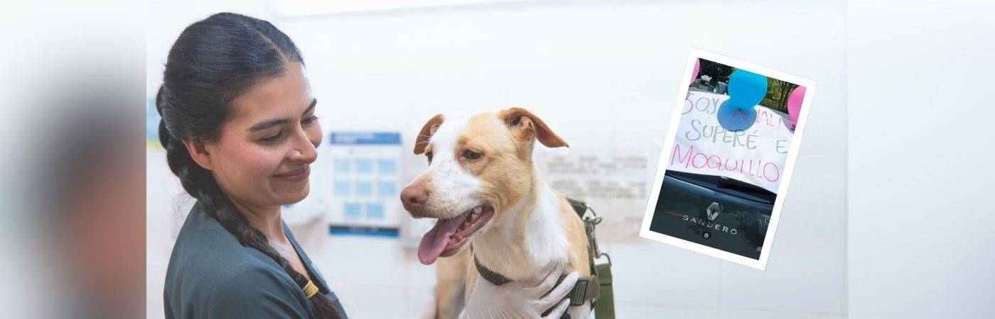 Laura Durango, veterinaria del Centro de Bienestar La Perla, fue la encargada de seguir el caso de Analí, y ahora son inseparables. FOTO: CORTESÍA ALCALDÍA DE MEDELLÍN