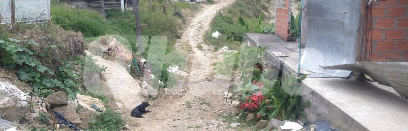 En este punto conocido como Los Pinos, falleció don Saúl, tras caer de cabeza de una mula cuando, al parecer, intentaba llevarla a una pesebrera. FOTO: GUILLERMO OSPINA