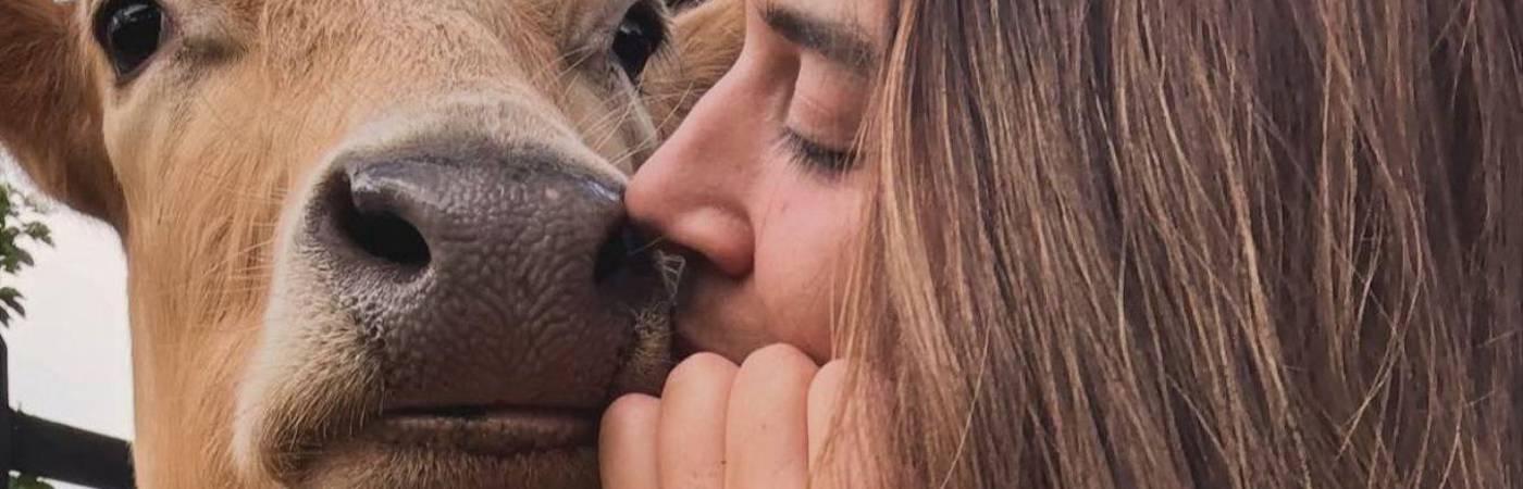 El santuario, ubicado en Fredonia, rescata animales con el rótulo de ‘inadoptables’. FOTO: CORTESÍA