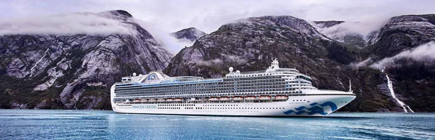 ¿Otro? Más de 100 personas se contagiaron de norovirus en un crucero