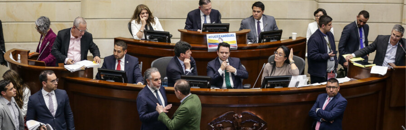Senado de la República. /FOTO: COLPRENSA 