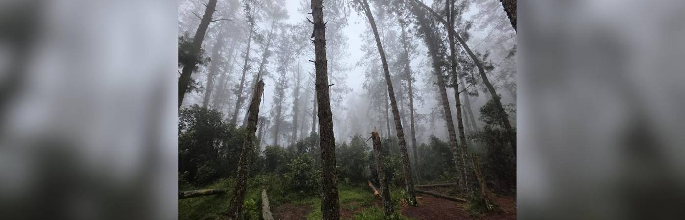 Reserva San Sebastián de la Castellana, entre los municipios de Envigado y El Retiro. FOTO: CORTESÍA