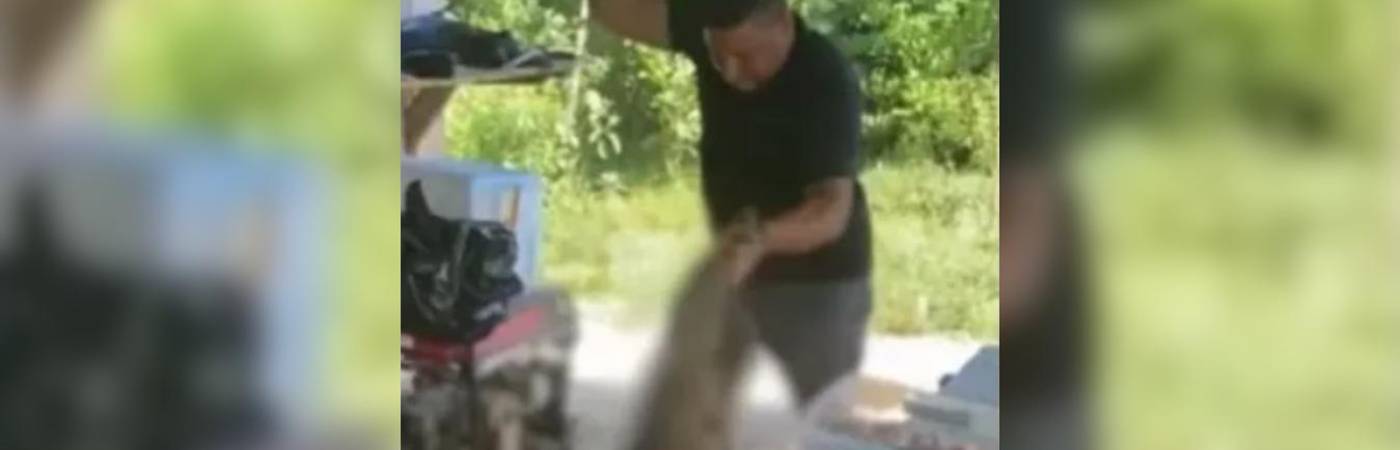 El hombre fue grabado azotando contra el piso al animal. FOTO: TOMADA DE VIDEO