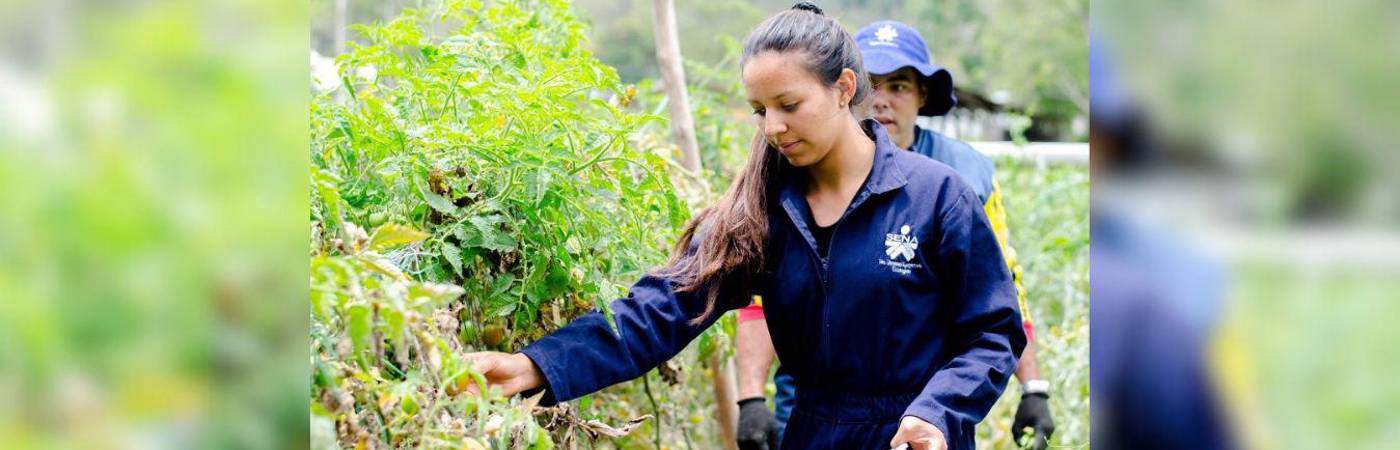 La Certificatón es una gran oportunidad pare reconocer los conocimientos empíricos que contribuyen al cuidado del medio ambiente. / FOTO: CORTESÍA SENA