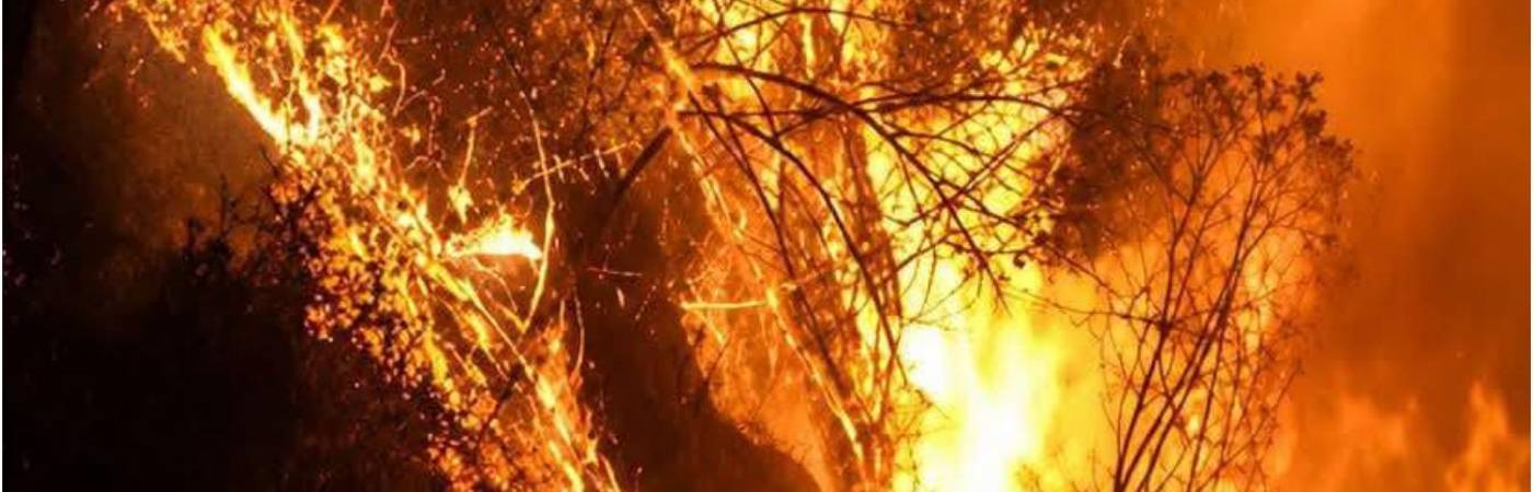 Incendios en Boquerón (San Cristóbal). FOTO: CAPTURA DE VIDEO DAGRD
