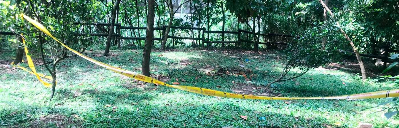 Imagen de referencia para ilustrar la nota. FOTO: ARCHIVO - LAURA ROSA JIMÉNEZ 