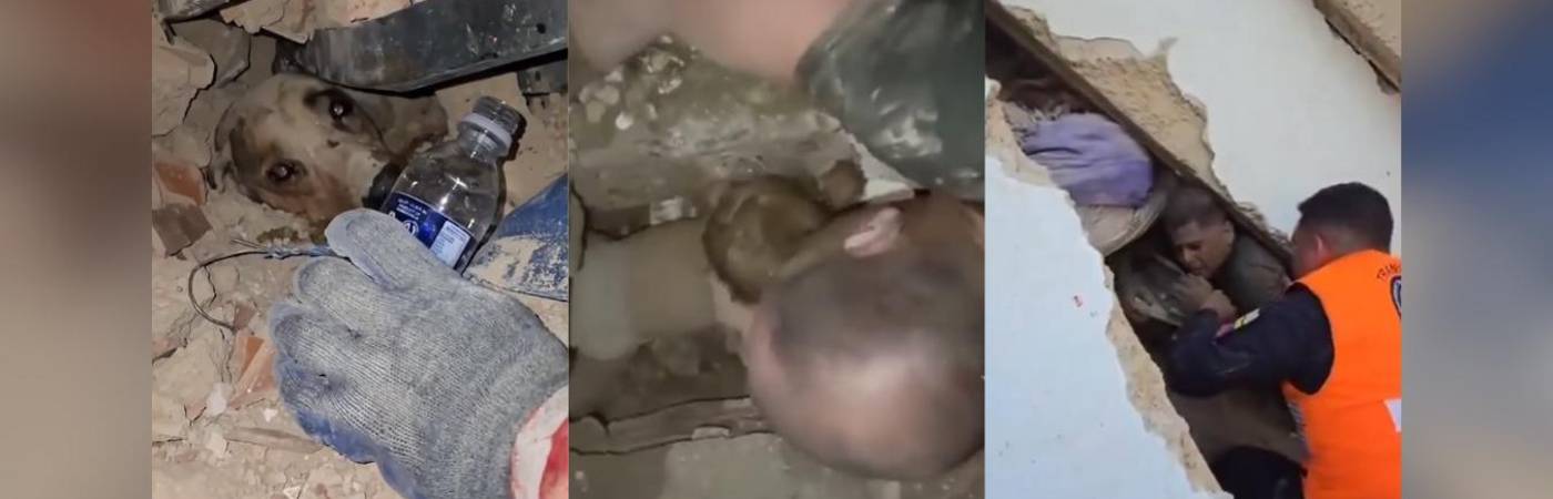 Imágenes de los diferentes rescates en Venezuela tras el terremoto. FOTO: REDES SOCIALES